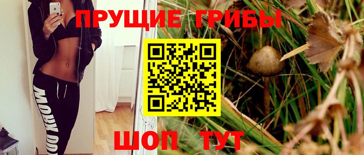 Псилоцибиновые грибы Magic Shrooms  Вход с VPN  Верхний Уфалей 